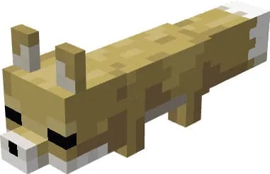 Вид лисы фенек