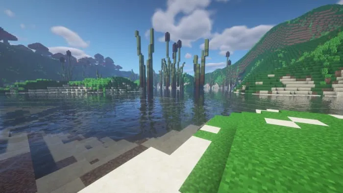 Растения в воде