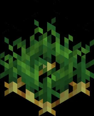 Куст золотой дикой моркови