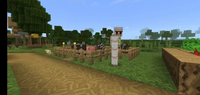 Коровы в загоне