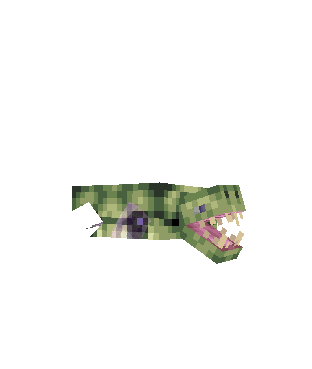 Вид туртгера