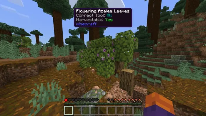 Информация о листве