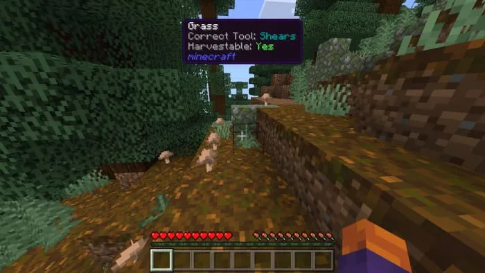 Информация о траве