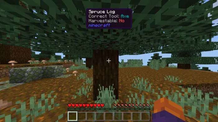 Информация о дереве