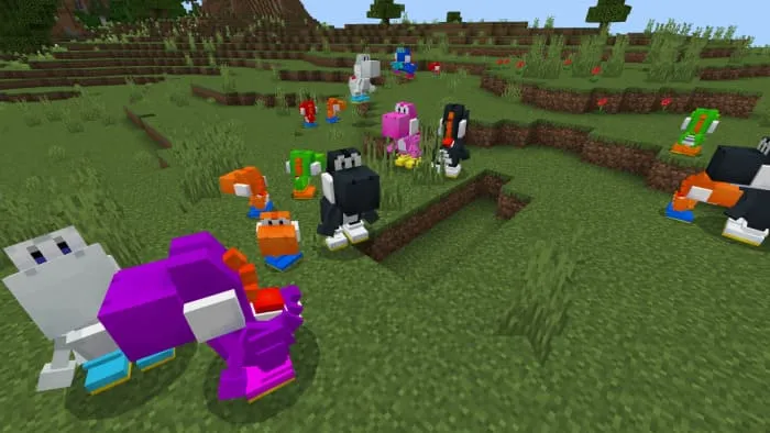 Расцветки йоши