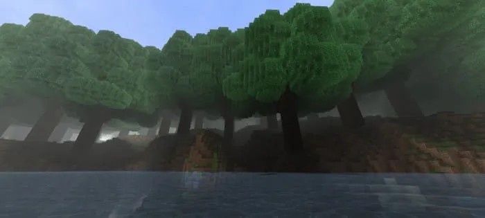 Биом крытого леса