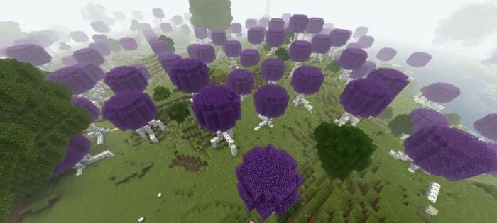 Березвые деревья