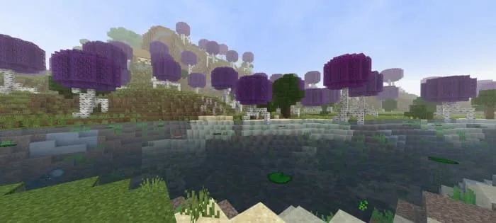 Биом березового леса