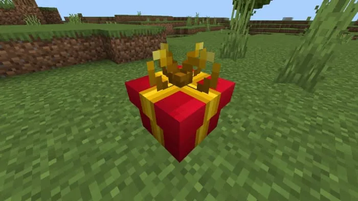 Вид подарка