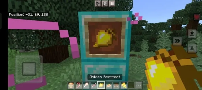 Вид золотой свеклы