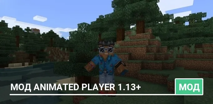 Мод Animated Player 1.13+