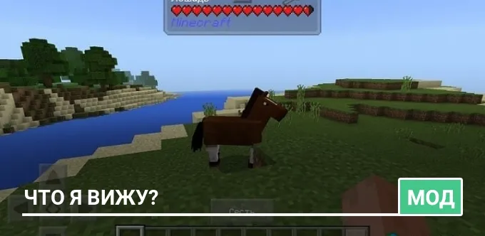 Мод: Что я вижу?