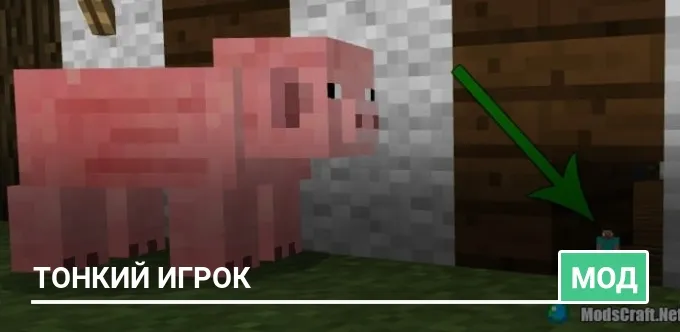 Мод: Тонкий игрок