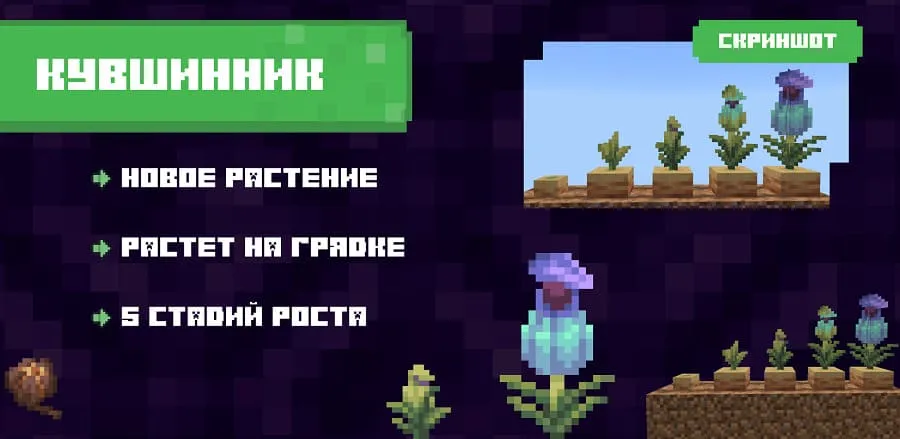 Описание Кувшинника