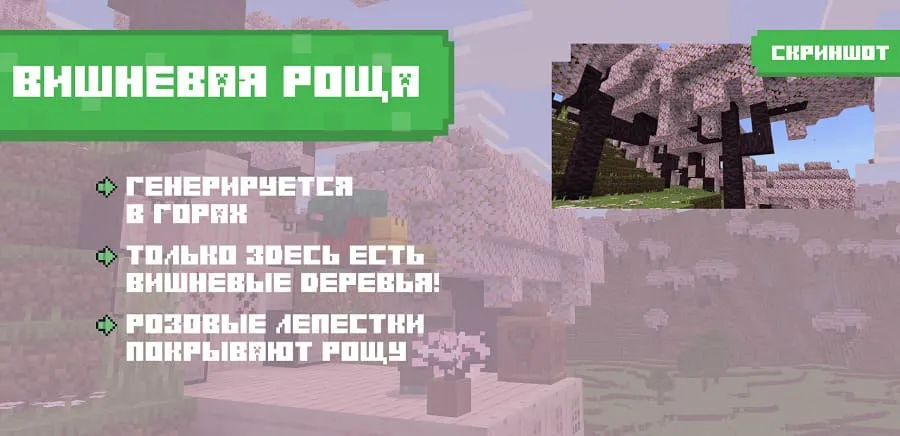 Описание Вишневой рощи