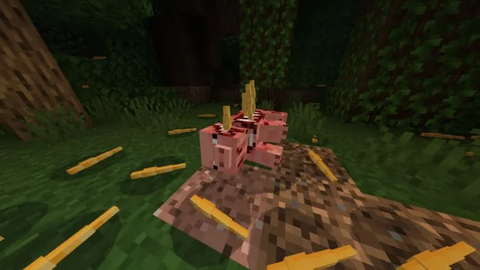 Вид гнезда с паразитами