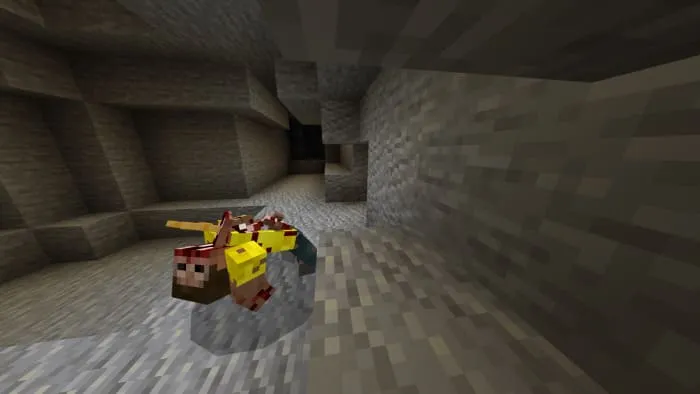 Вид акробата