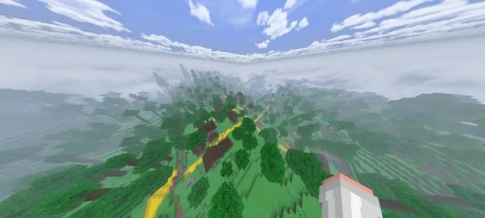 Вид леса сверху