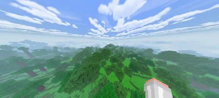 Вид деревьев сверху