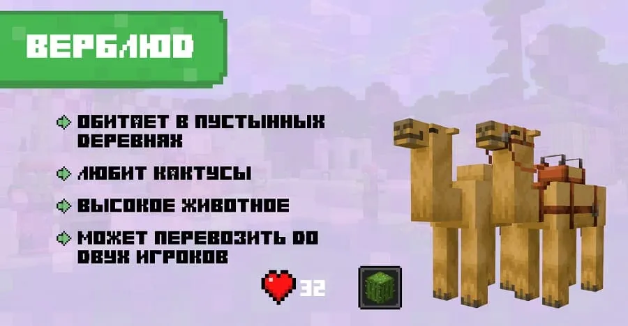 Особенности Верблюда и его статистика