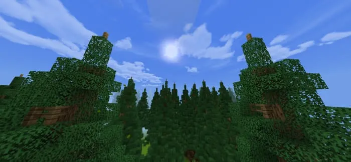 Верхушки деревьев