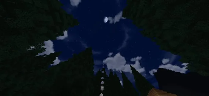 Небо и деревья