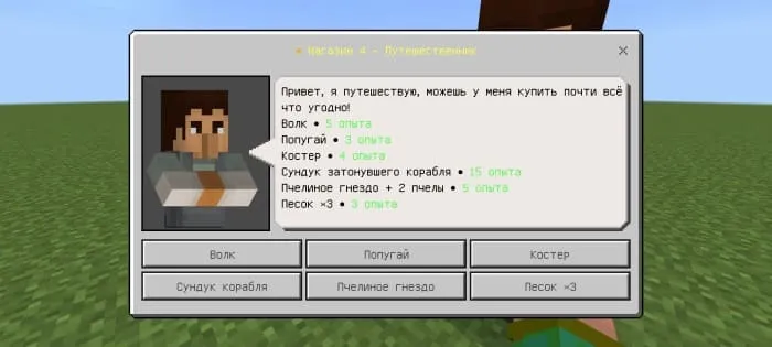 Общение с путешественником