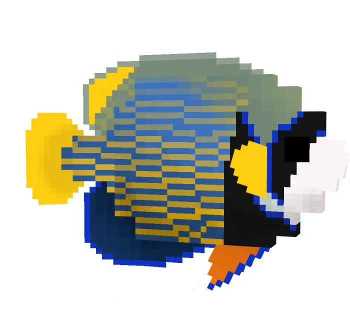 Вид рыбы ангела