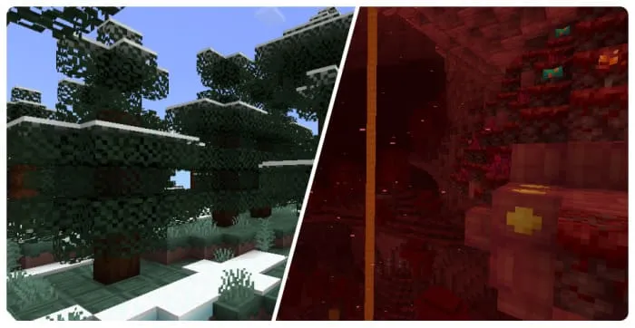 Вид леса и нижнего мира