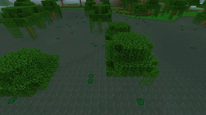 Вид деревьев в болотах