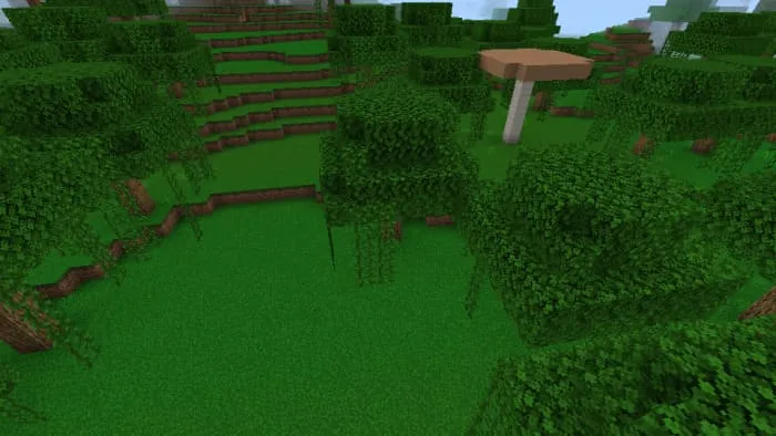 Гриб на поляне