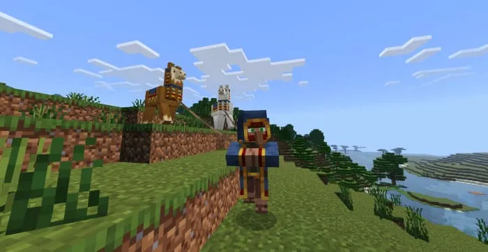 Странствующий торговец