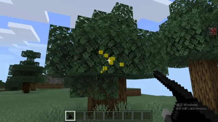 Использование дробовика