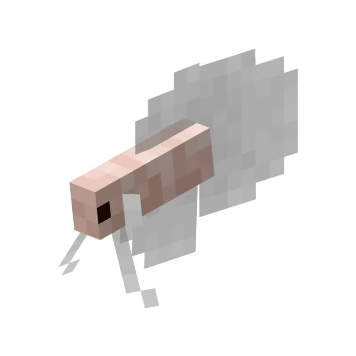 Розовая бойцовая рыбка с белым хвостом