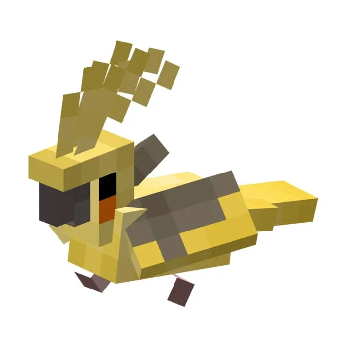 Попугай Корелла с темными крыльями