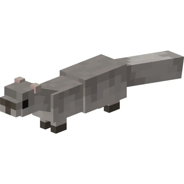 Серый хорек