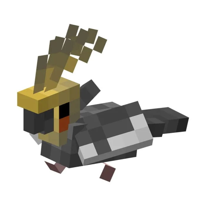 Обычный попугай Корелла