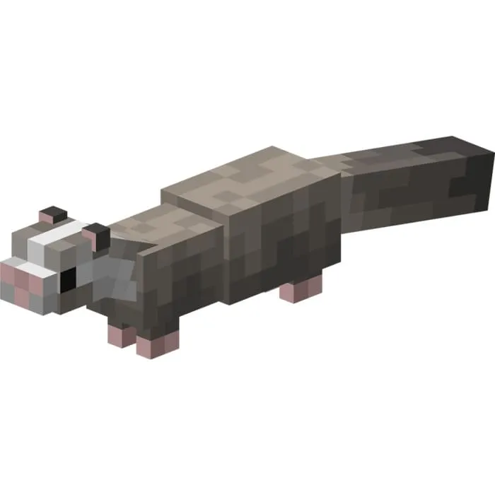 Светло-серый хорек