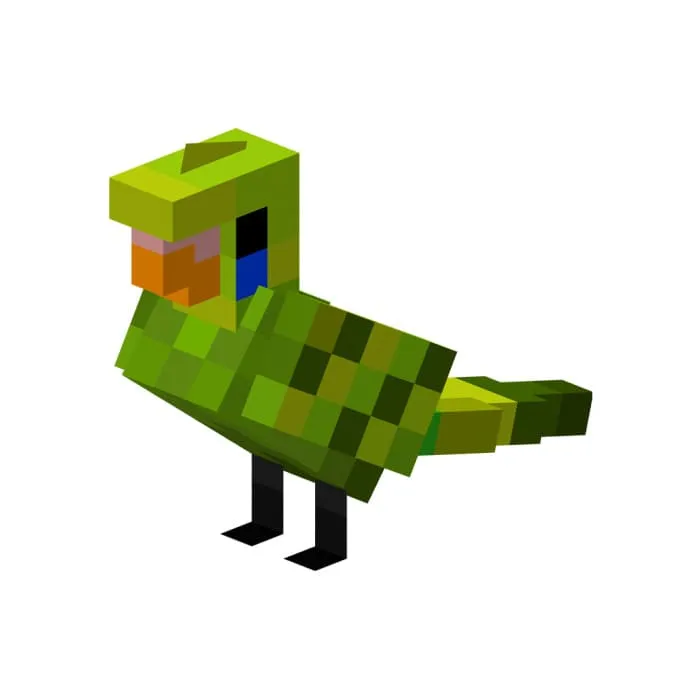 Зеленый попугайчик