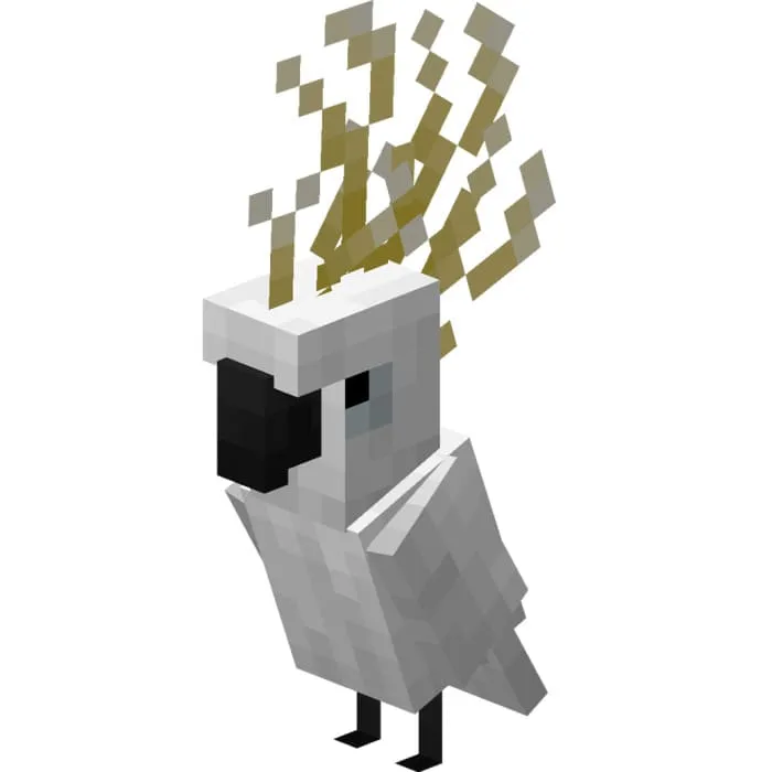 Какаду с золотым хохолком