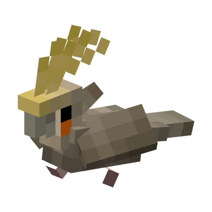 Светло-серый попугай Корелла