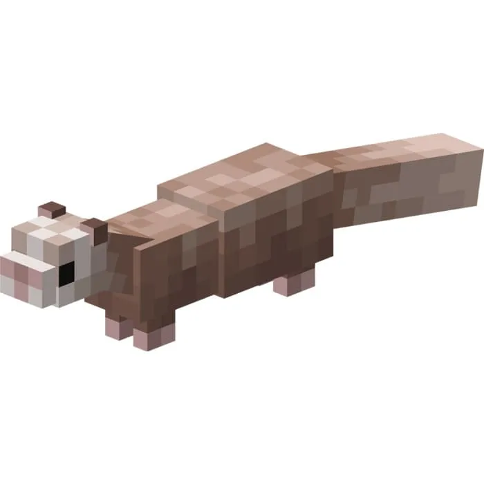 Яркий хорек