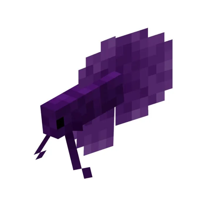 Фиолетовая бойцовая рыбка