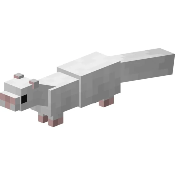 Белый хорек