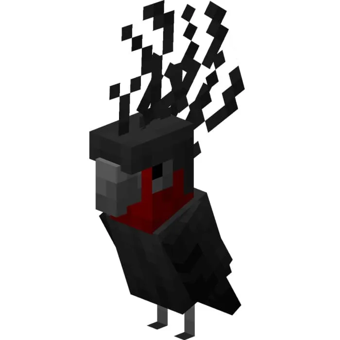 Черный какаду