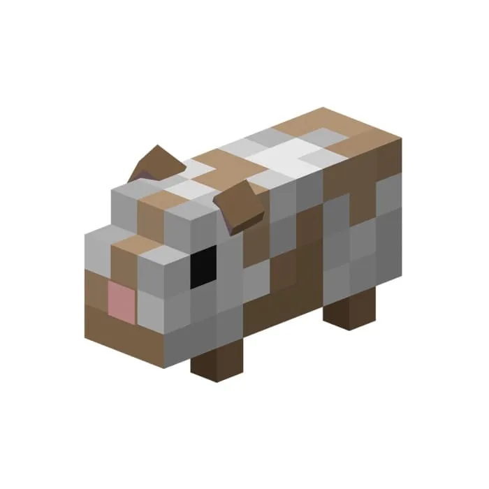 Светлая морская свинка с пятнами