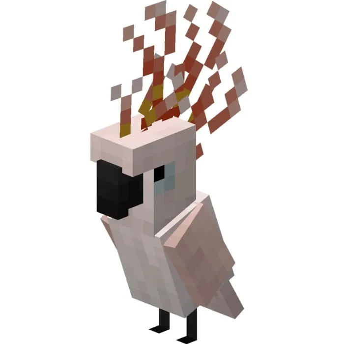 Розовый какаду