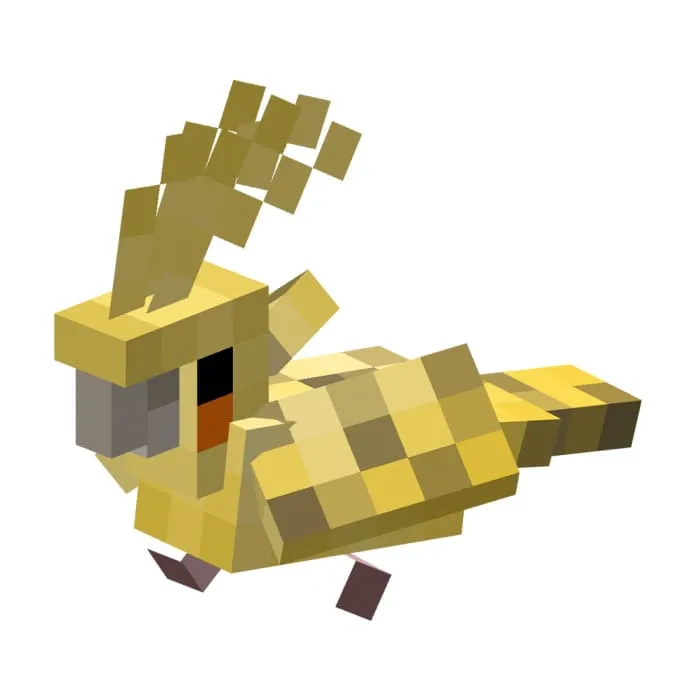 Корелла с пятнами