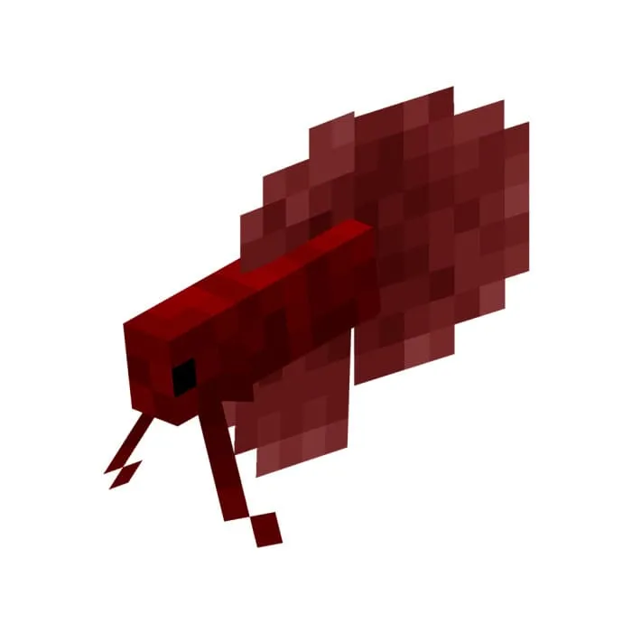 Ярко красная бойцовая рыбка