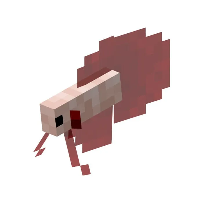 Розовая бойцовая рыбка